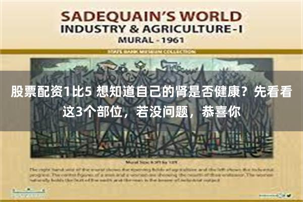 股票配资1比5 想知道自己的肾是否健康？先看看这3个部位，若没问题，恭喜你