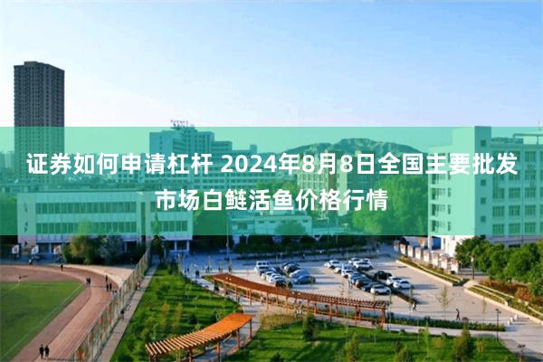 证券如何申请杠杆 2024年8月8日全国主要批发市场白鲢活鱼价格行情