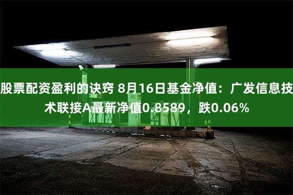 股票配资盈利的诀窍 8月16日基金净值：广发信息技术联接A最新净值0.8589，跌0.06%