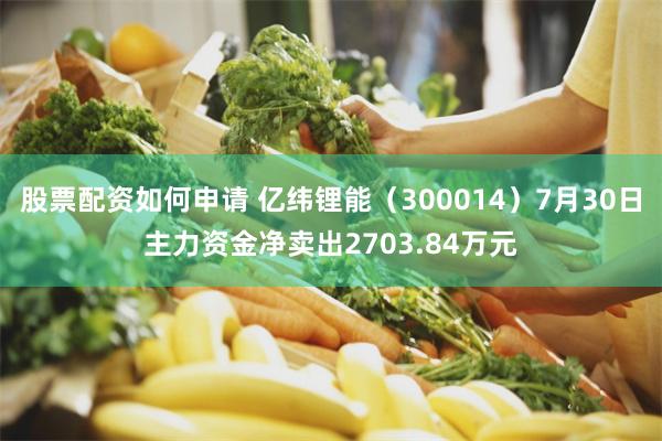 股票配资如何申请 亿纬锂能（300014）7月30日主力资金净卖出2703.84万元